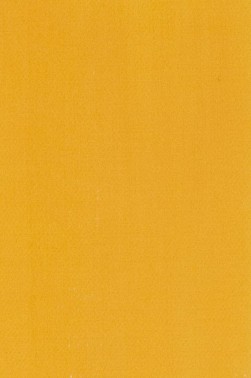 Schmincke Akademie Oil: Naples Yellow Deep 200ml