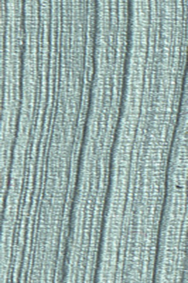 Schmincke Akademie Oil: Silver 200ml