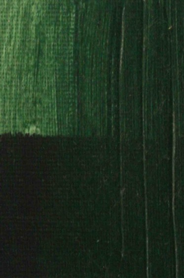 Kulay Acrylic Colors: Dark Green 500ml