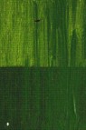 Kulay Acrylic Colors: Leaf Green 500ml