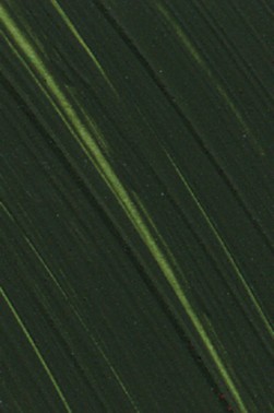 Williamsburg Oil: Turkey Umber 37ml