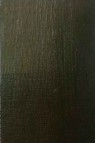 Kulay Acrylic Colors: Olive Green 500ml