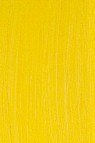 Jack Richeson Shiva Oil: Indian Yellow 37ml