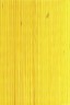 Winsor & Newton Fine Oil: Medium Yellow 170ml