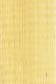 Winsor & Newton Fine Oil: Naples Yellow Hue 45ml