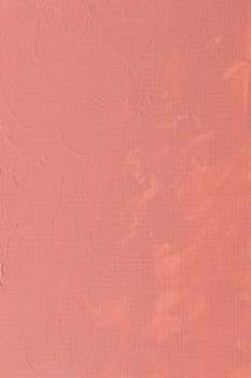 Winsor & Newton Griffin Alkyd: Flesh Tint 37ml