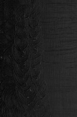 Winsor & Newton Griffin Alkyd: Lamp Black 37ml