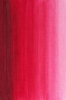 Winsor & Newton Griffin Alkyd: Permanent Rose 37ml