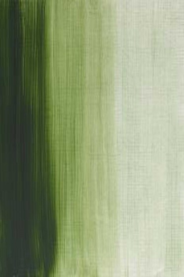 Winsor & Newton Griffin Alkyd: Terre Verte 37ml