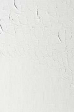 Winsor & Newton Griffin Alkyd: Titanium White 37ml