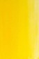 Winsor & Newton Griffin Alkyd: Winsor Yellow 37ml