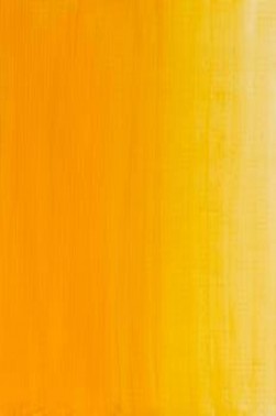 Winsor & Newton Water Mixable Oil: Cadmium Yellow Hue 37ml