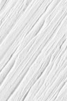 Williamsburg Oil: Zinc White 37ml