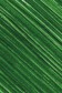 Williamsburg Oil: Italian Terra Verte 40ml