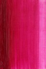 Winsor & Newton Water Mixable Oil: Magenta 37ml