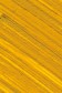 Williamsburg Oil: Italian Lemon Ochre 37ml