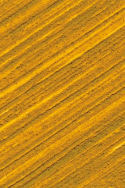 Williamsburg Oil: Italian Yellow Ochre 37ml