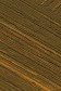 Williamsburg Oil: Italian Green Ochre 37ml