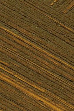 Williamsburg Oil: Italian Green Ochre  37ml