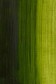Winsor & Newton Water Mixable Oil: Permanent Sap Green 37ml