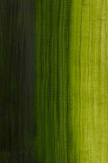 Winsor & Newton Water Mixable Oil: Permanent Sap Green 37ml