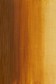 Winsor & Newton Water Mixable Oil: Raw Sienna 120ml