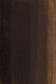 Winsor & Newton Water Mixable Oil: Raw Umber 120ml