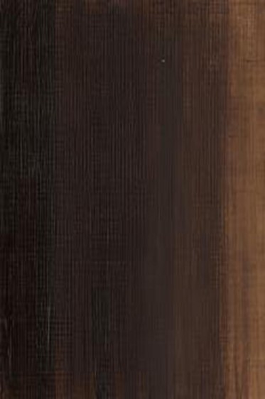 Winsor & Newton Water Mixable Oil: Raw Umber 120ml