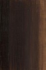 Winsor & Newton Water Mixable Oil: Raw Umber 37ml