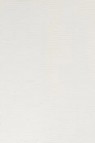 Winsor & Newton Water Mixable Oil: Titanium White  200ml