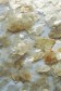 Rigid Chips & Flakes: Clear Flakes 50g