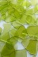 Rigid Chips & Flakes: Rigid Chips Clear Olive Green 50g
