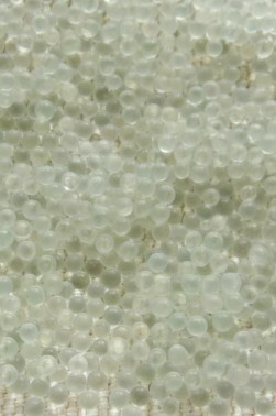 Deco Beads: Plastic Texture Beads Clear 2mm