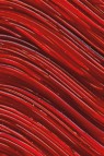 Williamsburg Oil: Permanent Crimson  37ml