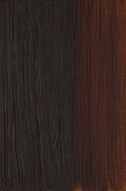 Winsor & Newton Artist Oil: Burnt Umber 37ml