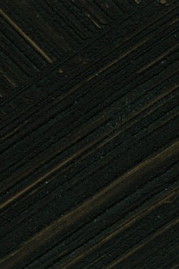Williamsburg Oil: Itallian Black Roman Earth 37ml