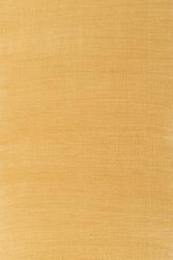 Winsor & Newton Artist Oil: Gold 37ml