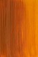 Winsor & Newton Artist Oil: Indian Yellow 37ml