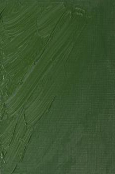 Winsor & Newton Artist Oil: Oxide Of Chromium 37ml