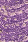 Williamsburg Oil: Interference Violet 37ml
