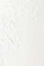 Winsor & Newton Artist Oil: Titanium White 120ml