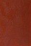 Winsor & Newton Artist Oil: Terra Rosa 37ml