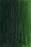 Winsor & Newton Artist Oil: Terra Verte 37ml
