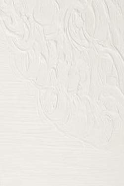 Winsor & Newton Artist Oil: Zinc White 120ml