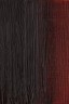 Winsor & Newton Artist Oil: Transparent Maroon 37ml