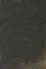 Winsor & Newton Artist Oil: Davy's Gray 37ml