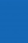 Colleen Poster Color: Blue 12ml