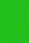 Colleen Poster Color: Green 12ml