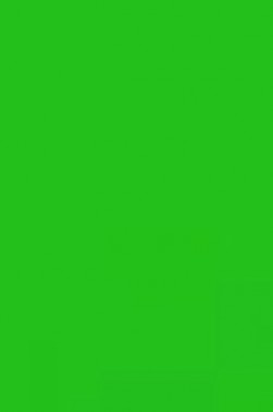 Colleen Poster Color: Green 20ml