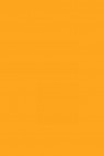 Colleen Poster Color: Orange 20ml
